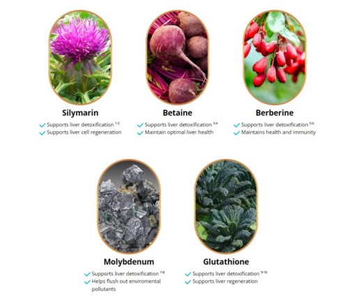 Liv Pure Reviews