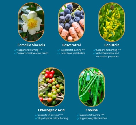 Liv Pure Reviews