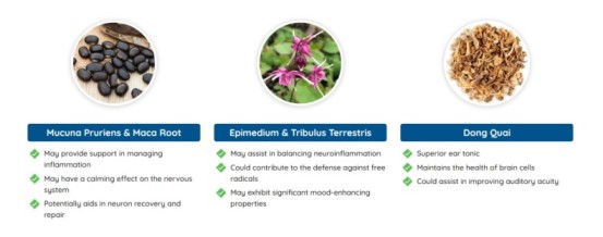 Quietum Plus Reviews