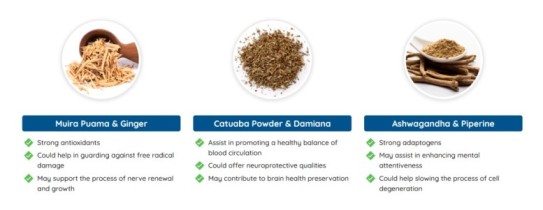 Quietum Plus Reviews
